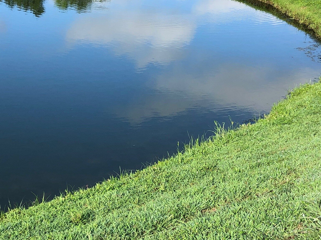 Chesterfield Central Park-切斯特菲尔德必去景点