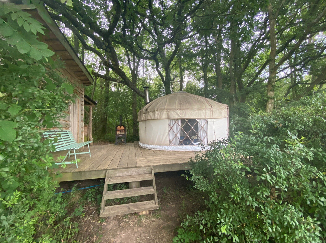 Brook House Woods景点图片