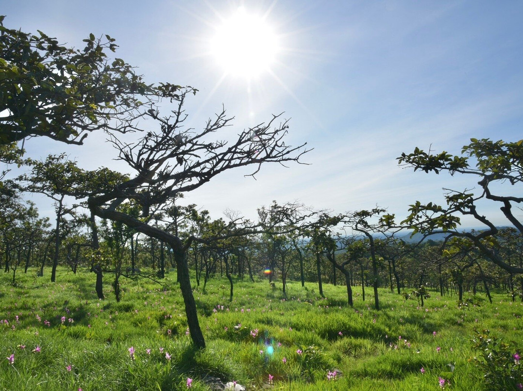 Pa Hin Ngam National Park景点图片