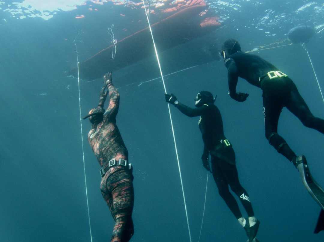 MBAY Freediving-蒙特雷必去景点