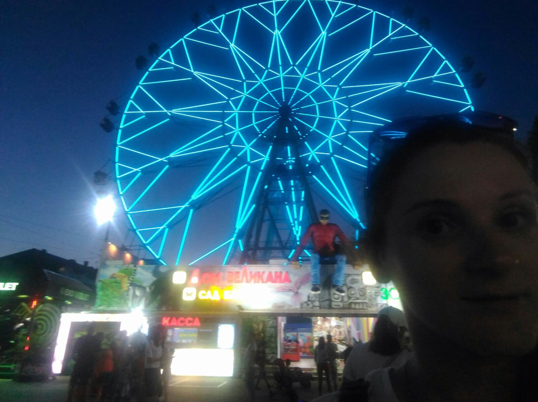 Ferris Wheel景点图片