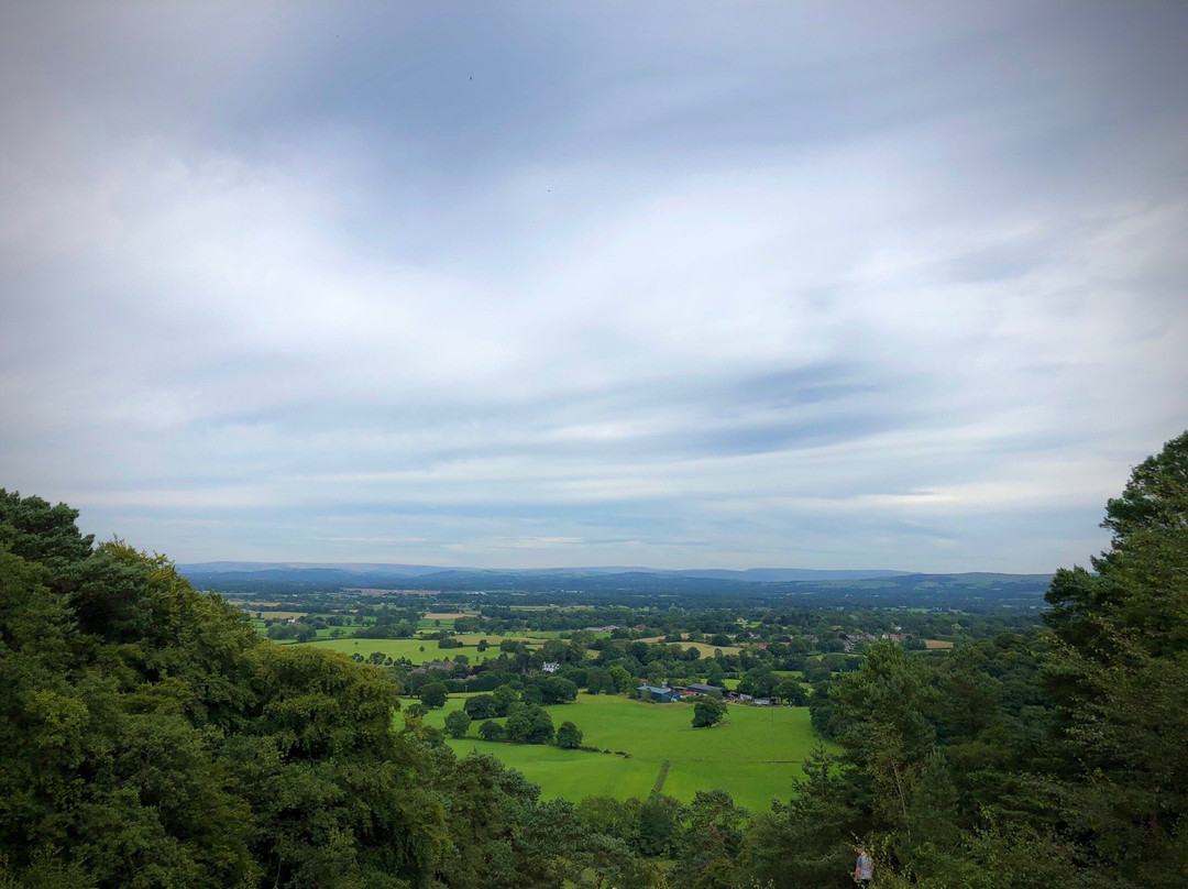 Alderley Edge Woodland Walk-阿尔德利埃奇必去景点