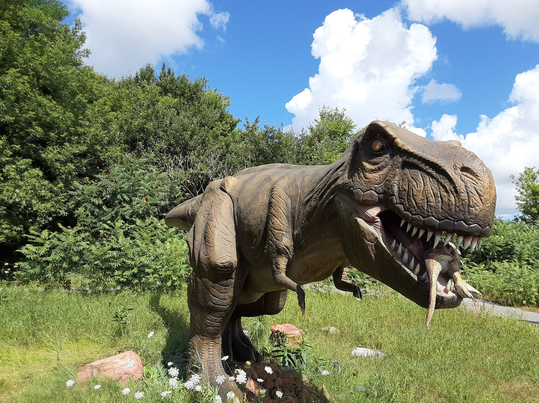 Canada's Dinosaur Park景点图片