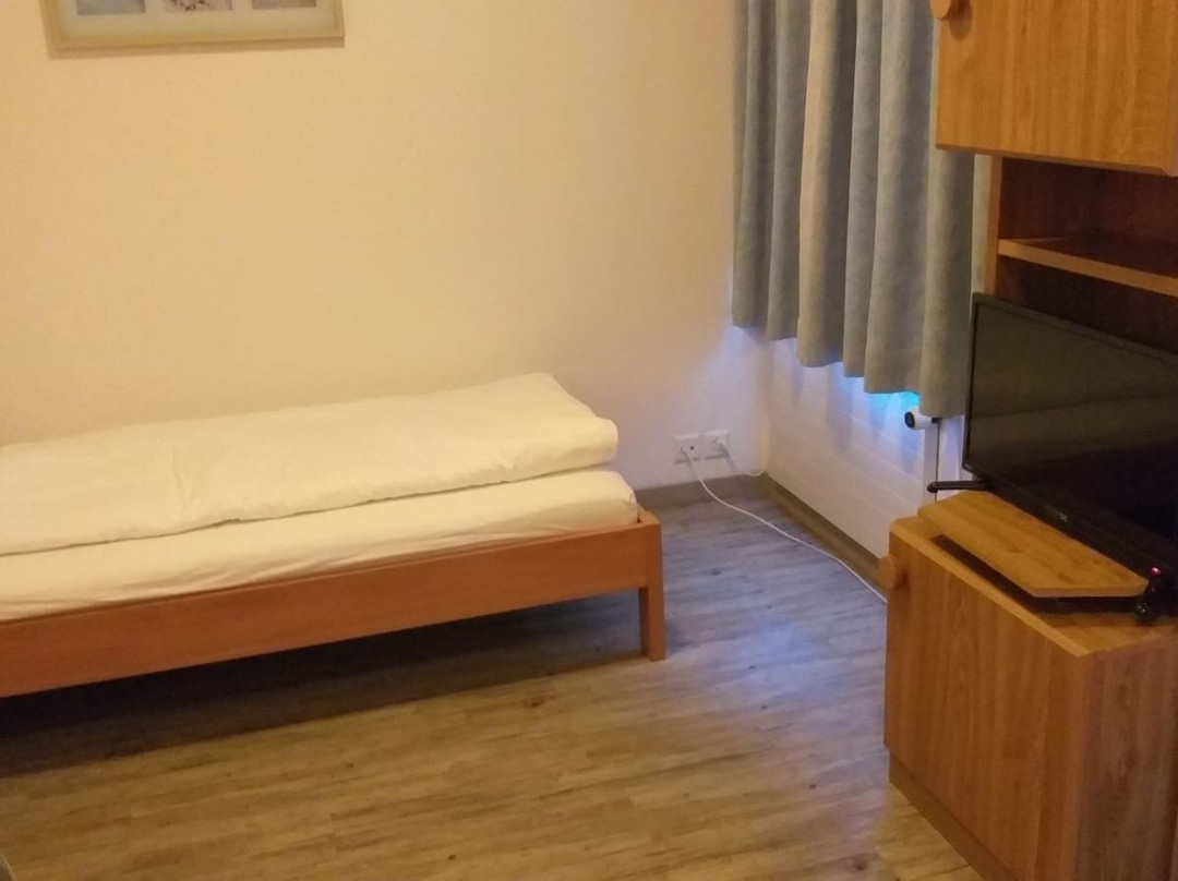 Hotel Lowen主图