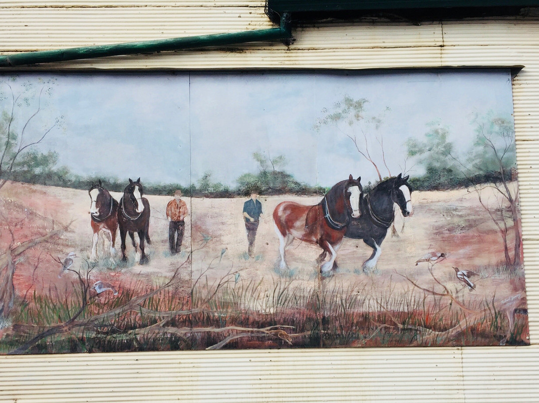 Sea Lake Murals-Sea Lake必去景点