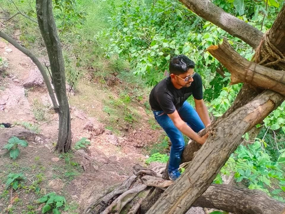 Ratanmahal Sloth Bear Sanctuary景点图片