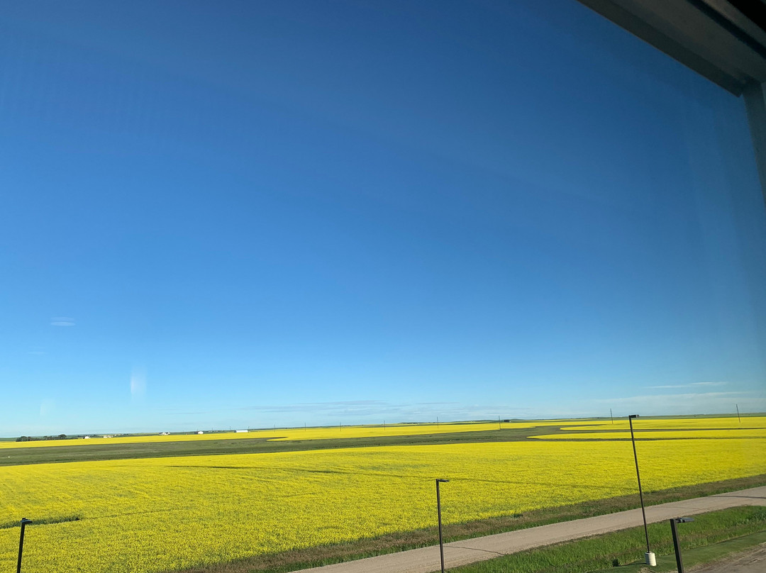 Canalta Kindersley主图