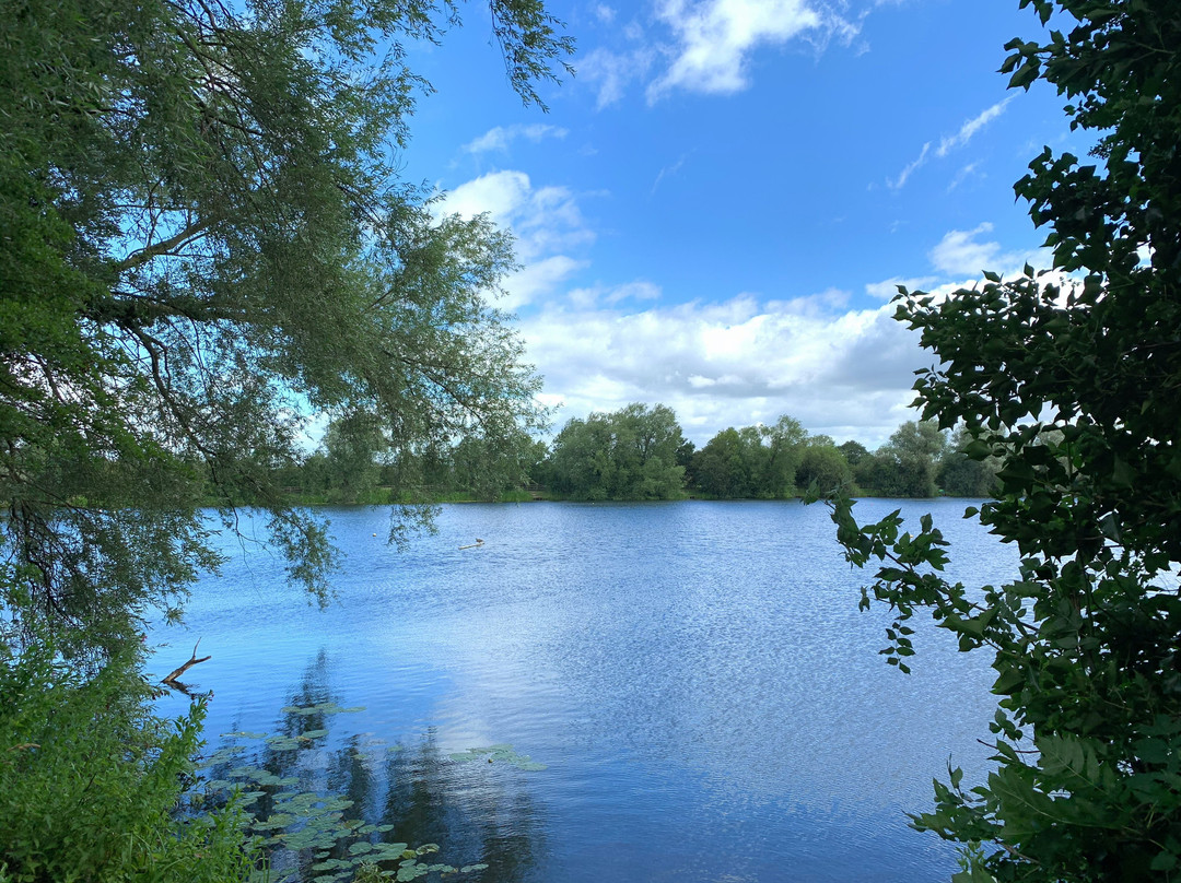 Sugar Mill Ponds Rawcliffe Bridge-Rawcliffe Bridge必去景点