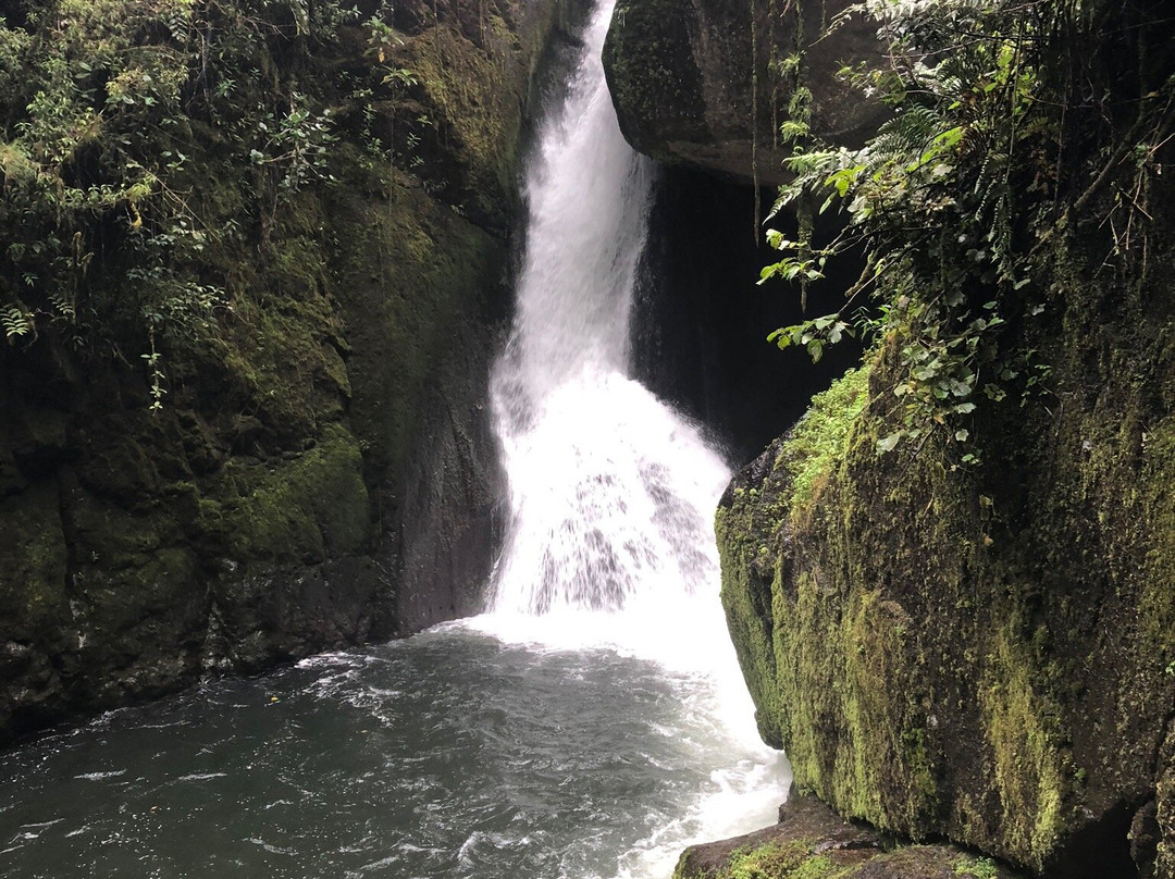 Parque National Los Quetzales景点图片
