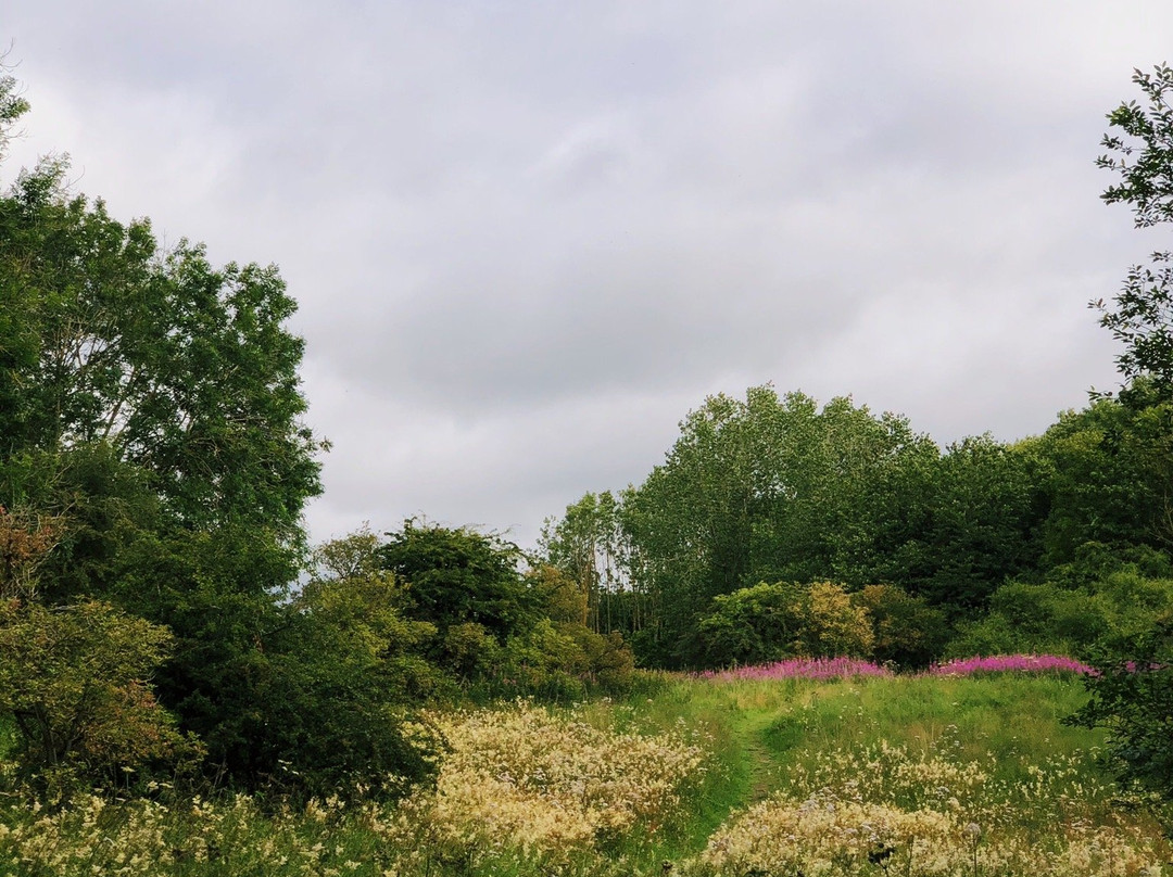Plessey Woods Country Park-Bedlington必去景点
