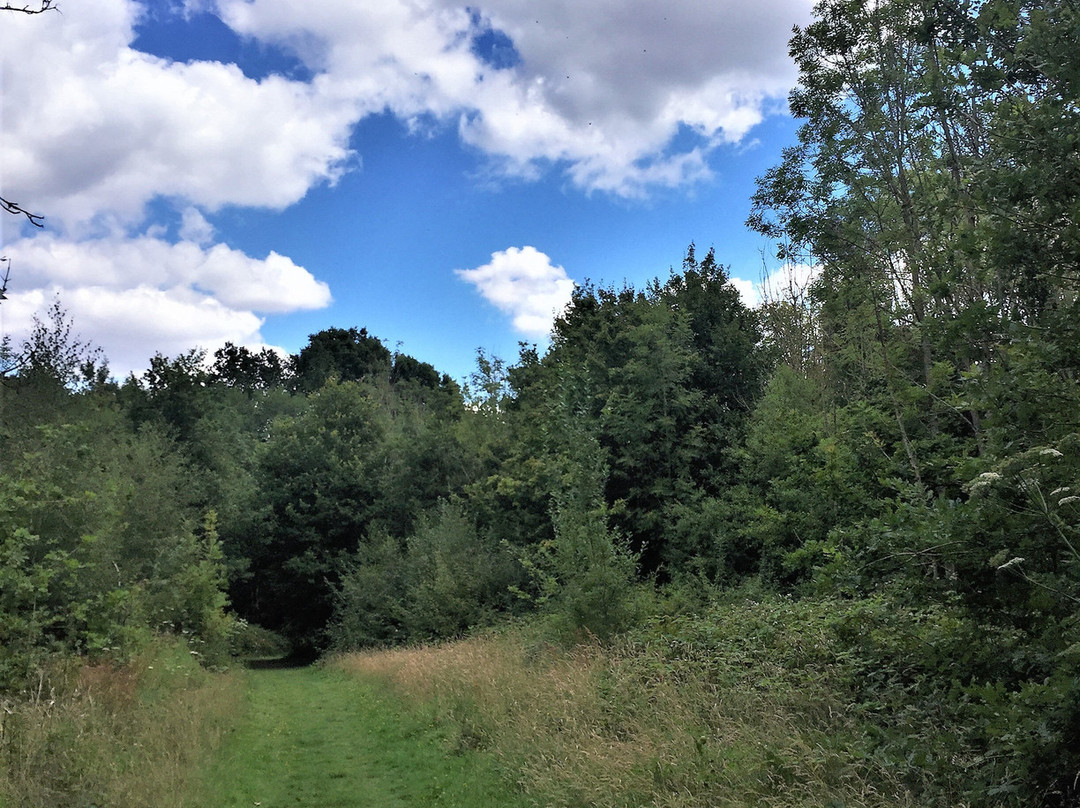 Comfort's Wood-Cranbrook必去景点