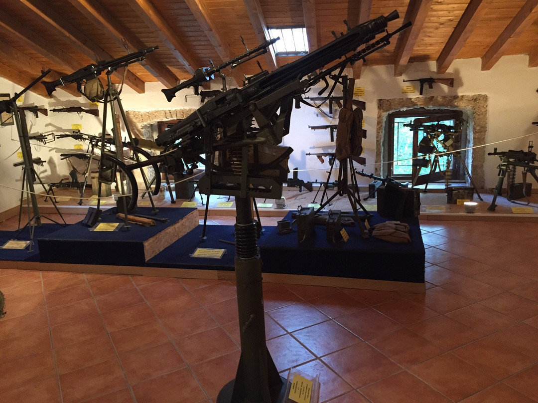 Museo Nazionale del Paleolitico-伊塞尔尼亚必去景点