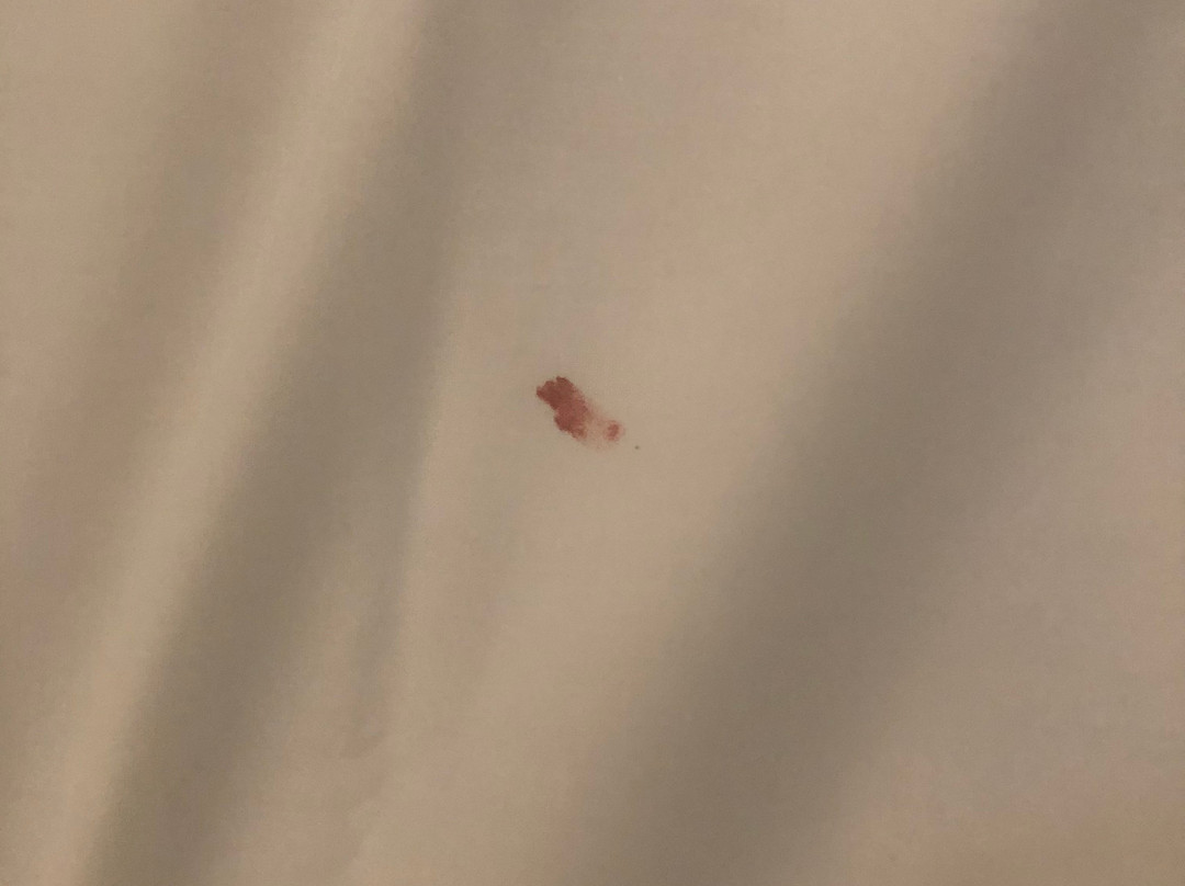 B&B HOTEL Angers 1 Beaucouzé主图