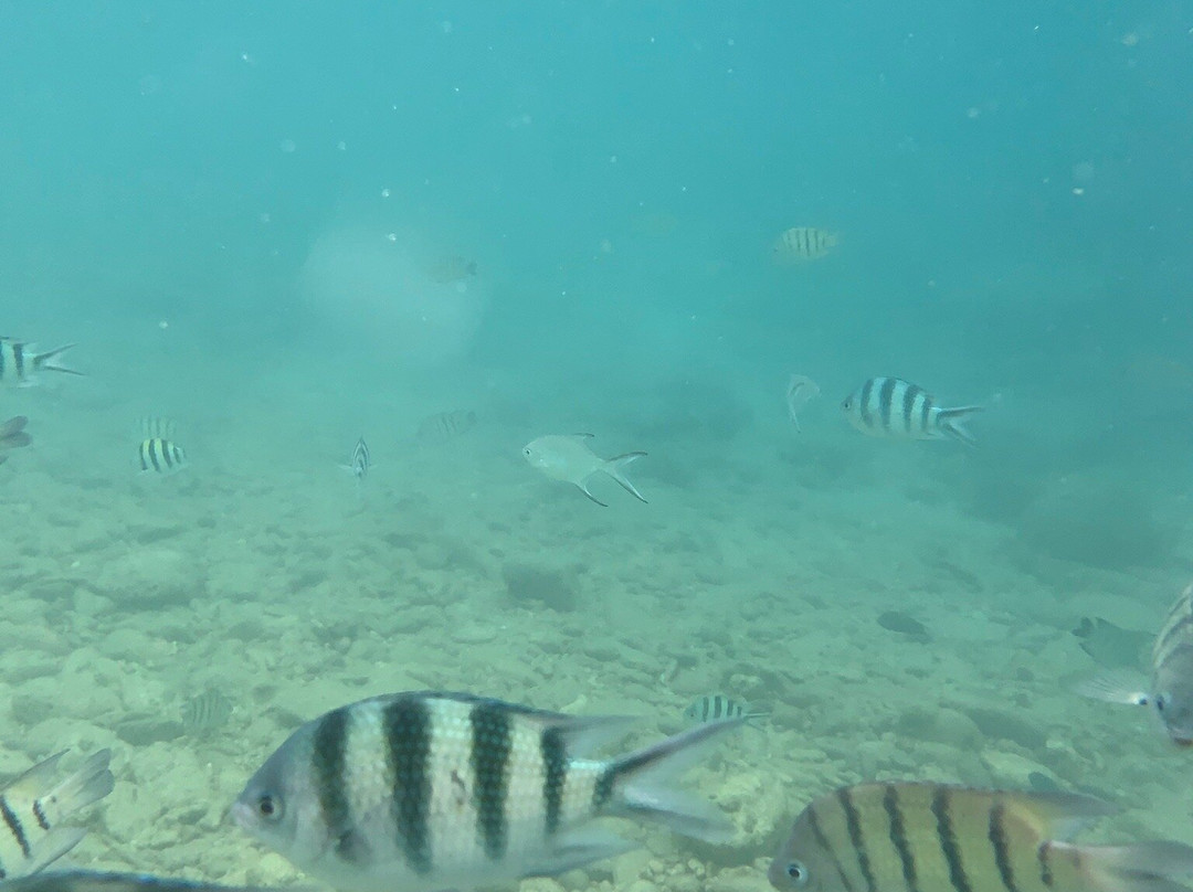 Nor Nou Kaibae Hut Speed Boat-象岛必去景点