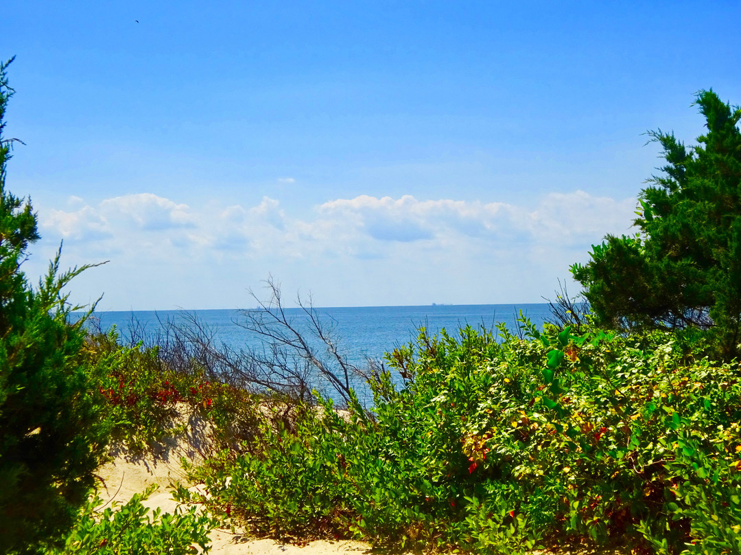 Higbee Beach景点图片