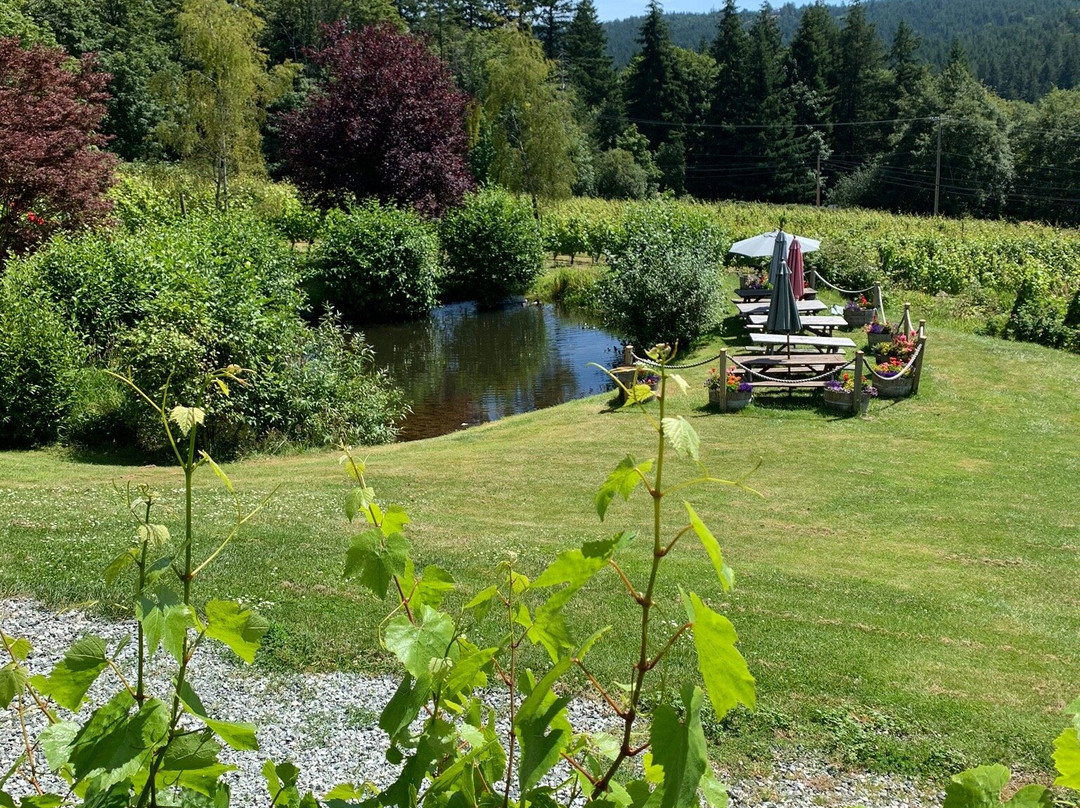Saltspring Vineyards景点图片