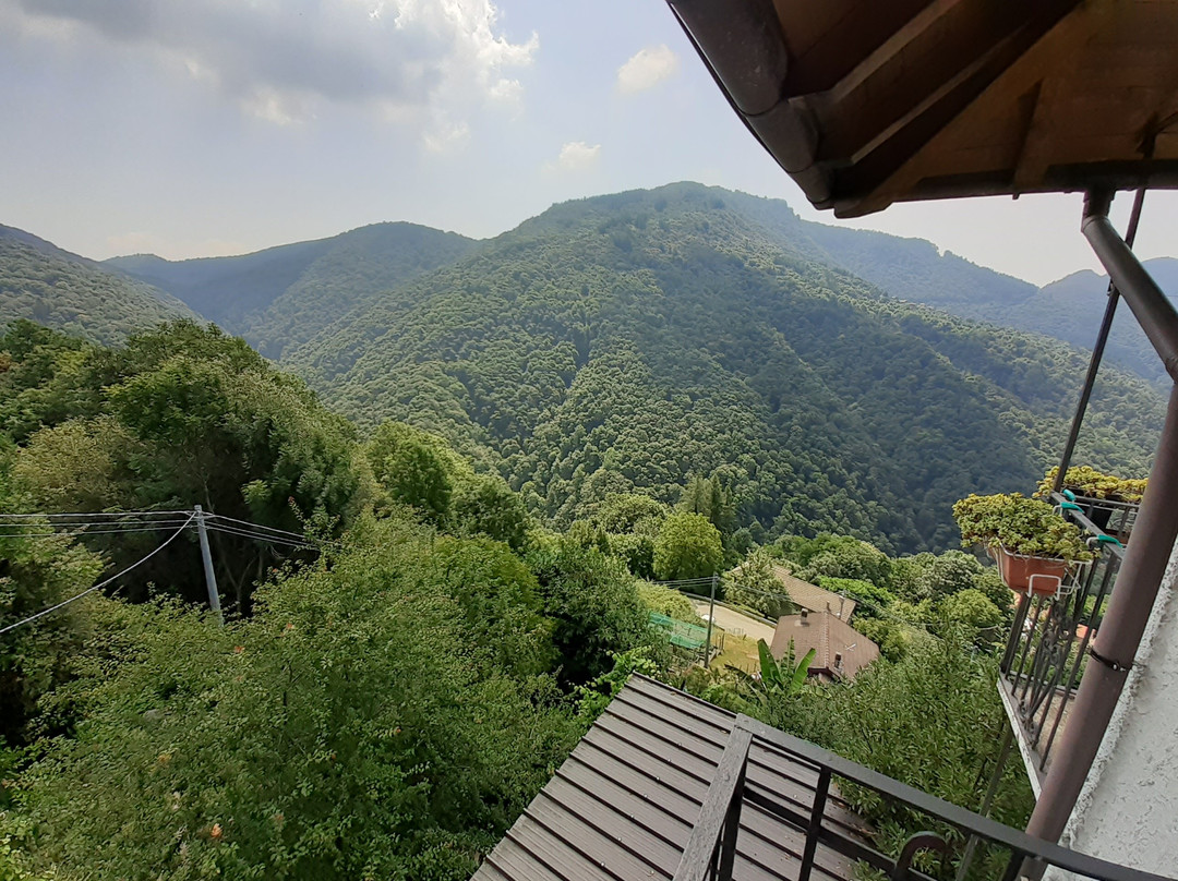 B&B La Locanda del Cinghiale主图