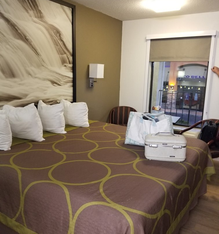 Super 8 by Wyndham Ringgold主图