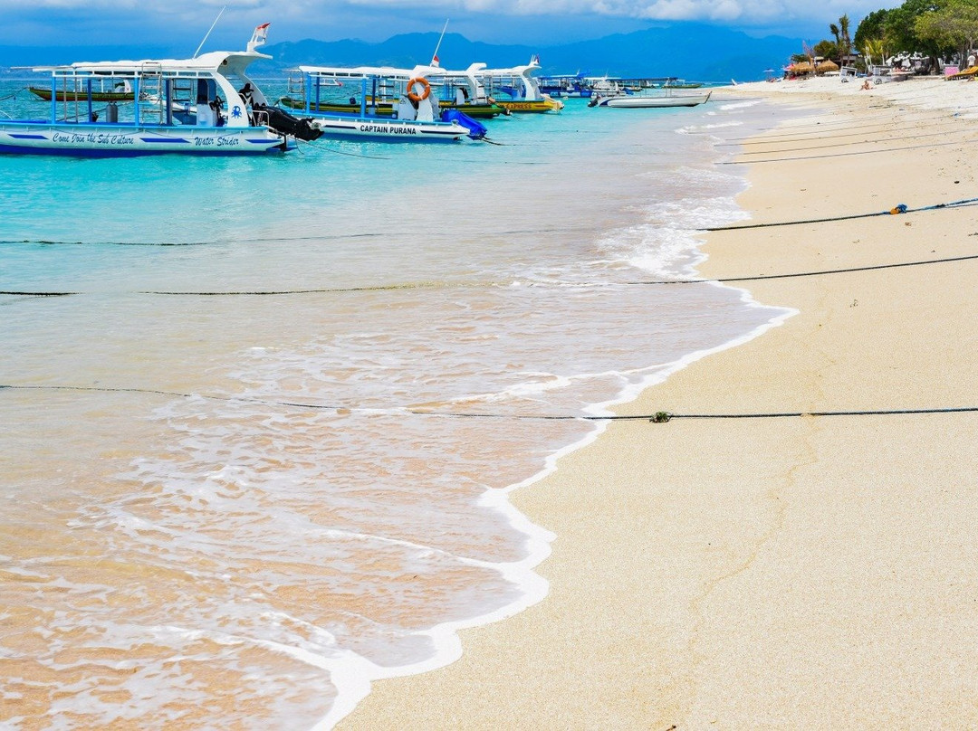 Best of Bali Tours-蓝梦岛必去景点