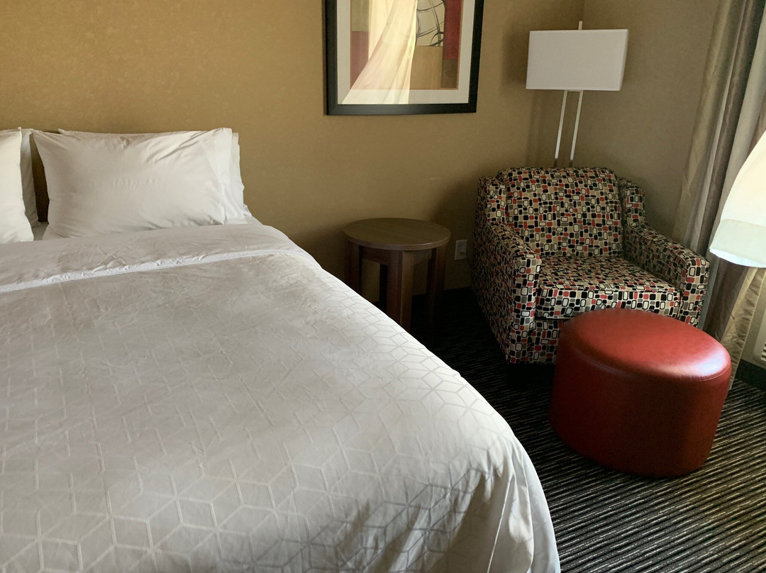 Holiday Inn Express & Suites Fredericksburg By IHG主图