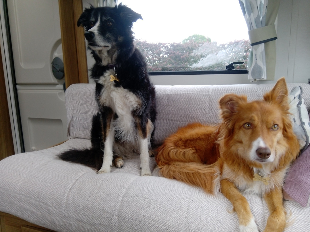 Goostrey旅游攻略图片