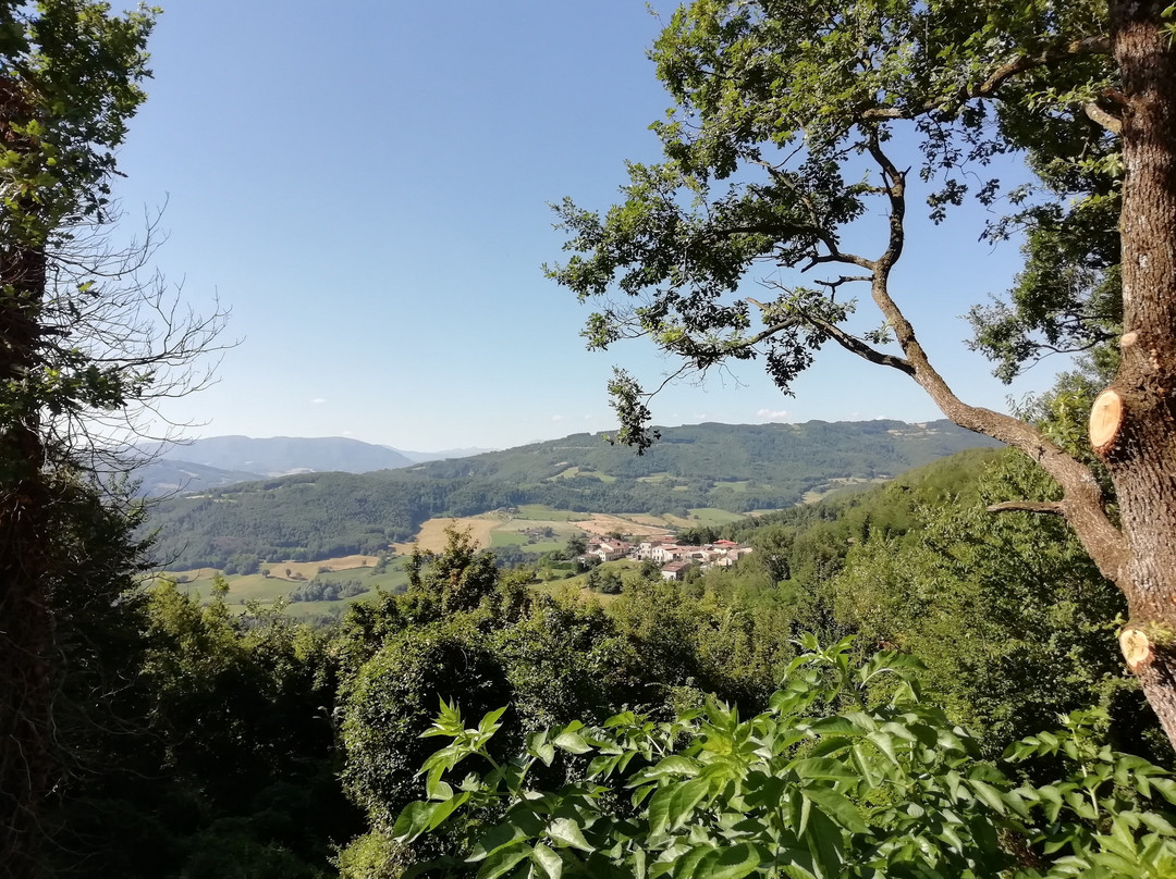 Agriturismo Podere Doglio主图