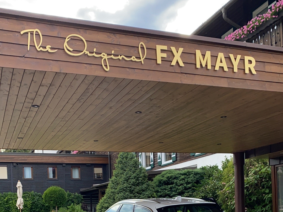 The Original FX Mayr主图