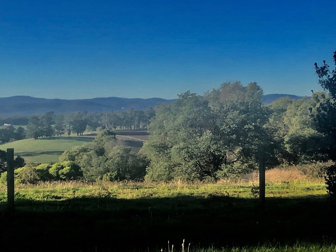 Eastern Dandenong Ranges Visitor Information Centre-Emerald必去景点