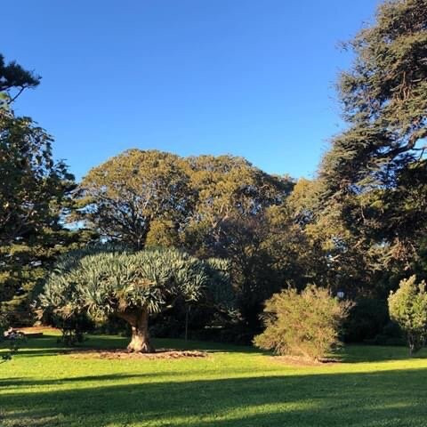 Koroit Botanical Gardens景点图片