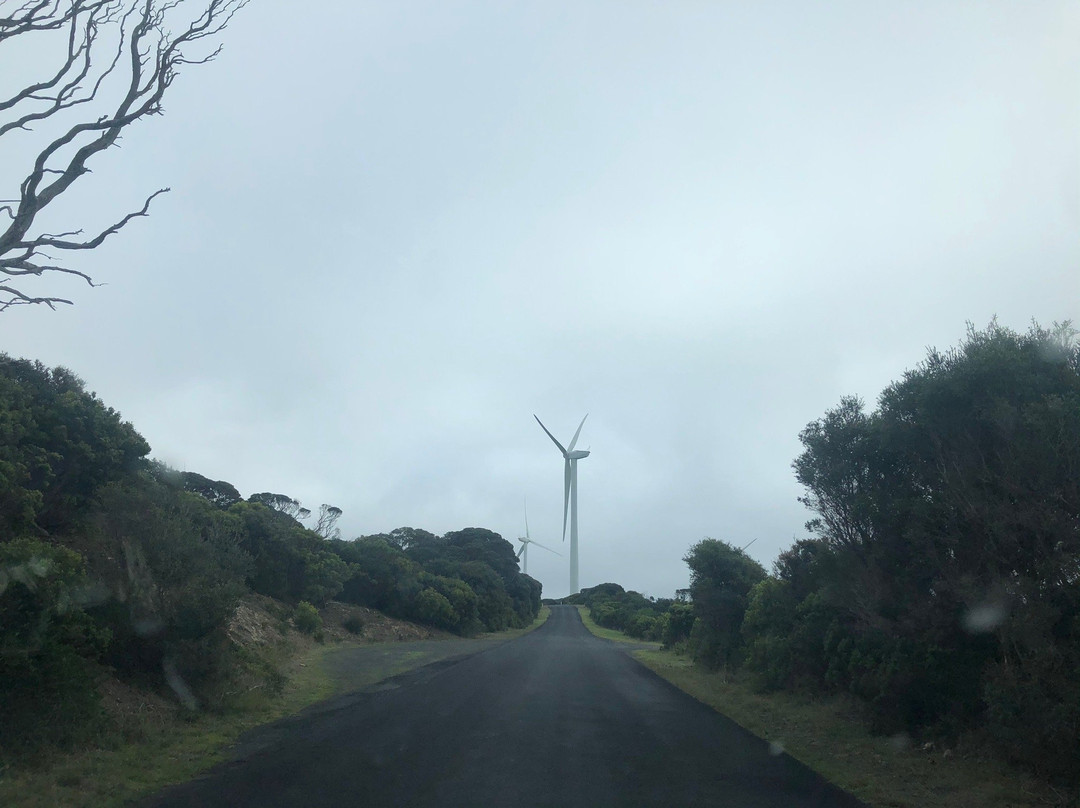 Cape Bridgewater Wind Farm-Cape Bridgewater必去景点