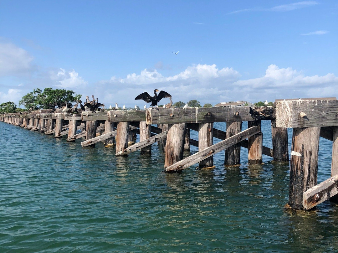 Palm Island Outfitters-Cape Haze必去景点