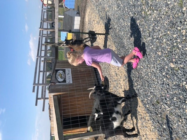 Emily’s Produce-坎布里奇必去景点