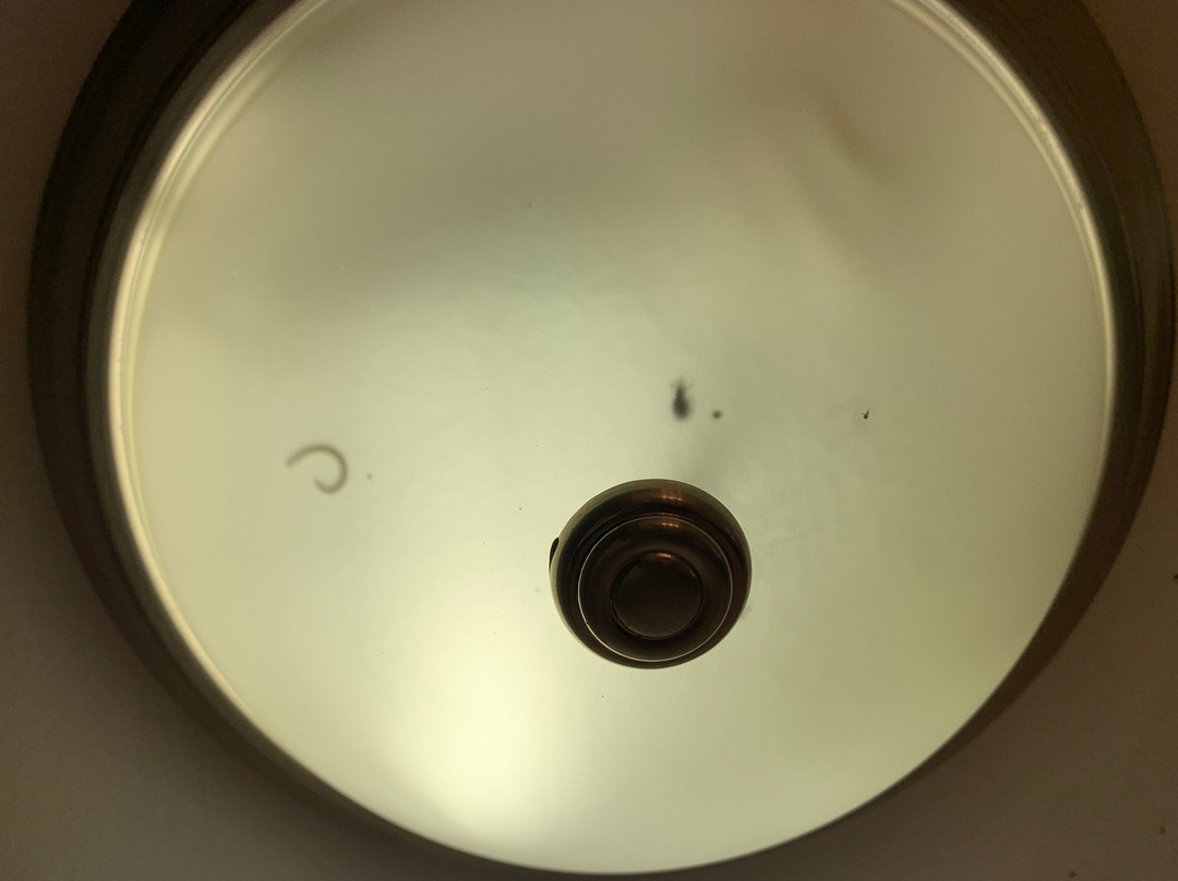 Salmon River Motel主图