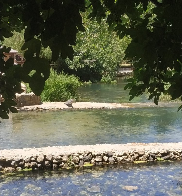 Banias Nature Reserve-戈兰高地必去景点