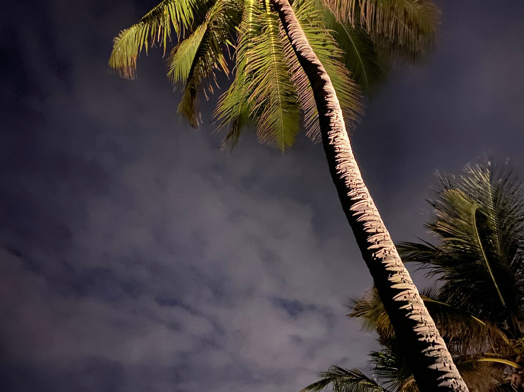 Tropic Seas Resort主图