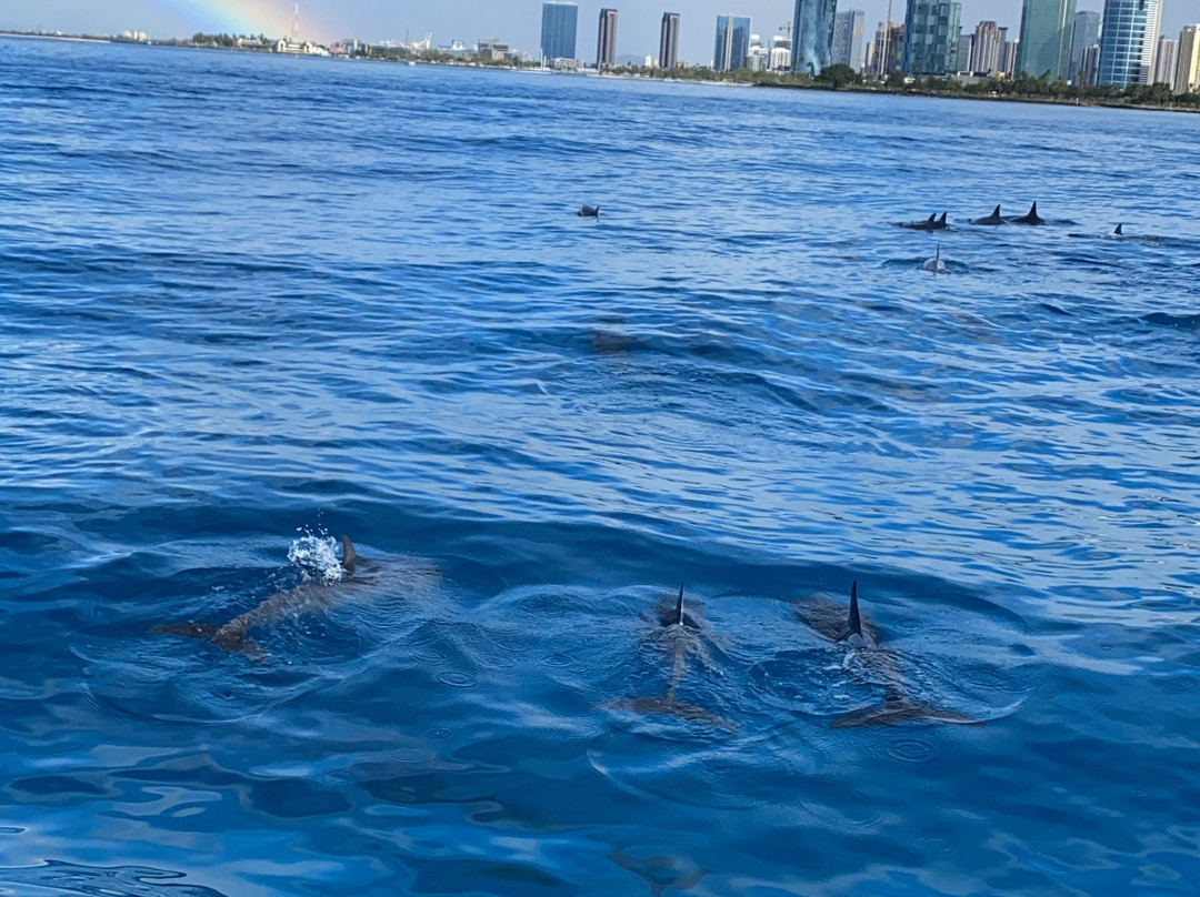 Hawaii Ocean Charters-火奴鲁鲁必去景点