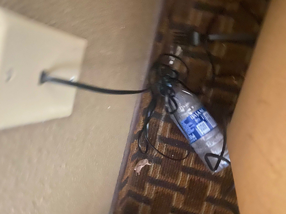 Quality Inn & Suites主图