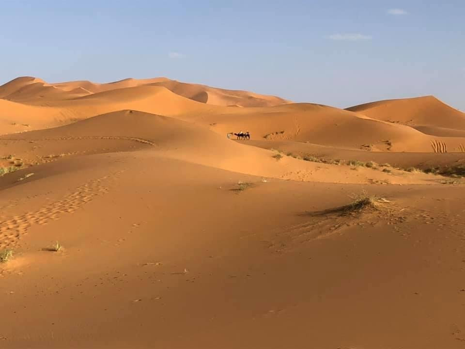 Morocco Desert Travels-非斯必去景点