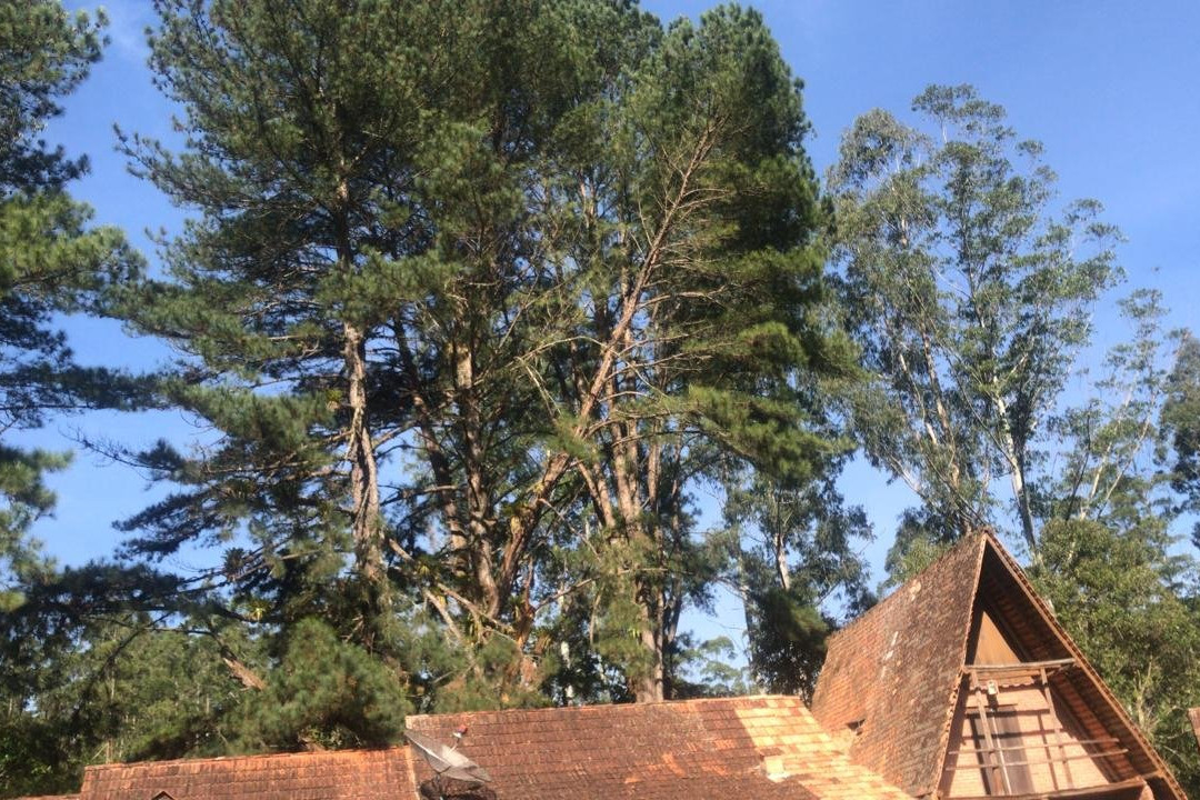 Vale das Hortensias Hotel主图