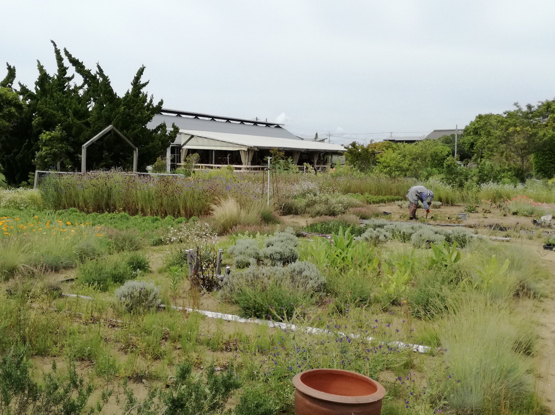 99 Stars Herb Garden-九十九里町 必去景点