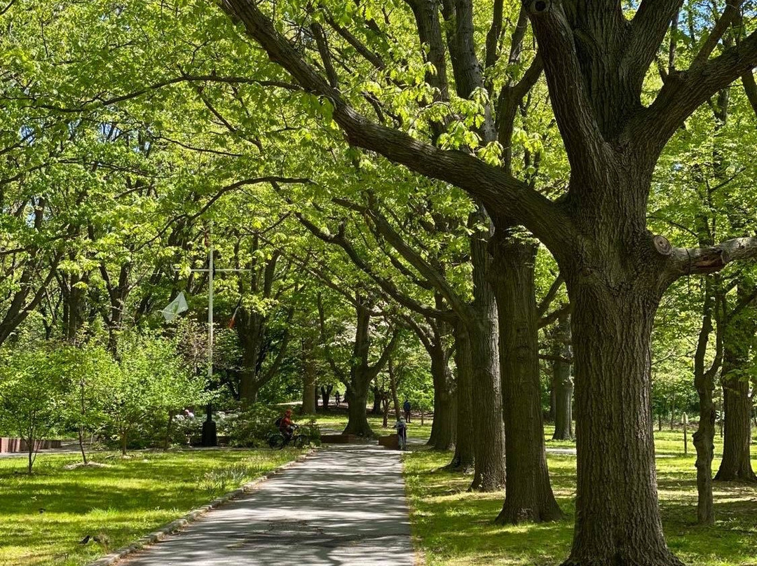 Alley Pond Park-Oakland Gardens必去景点