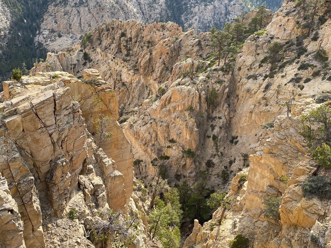 Utah Slickrock Guides-Boulder必去景点