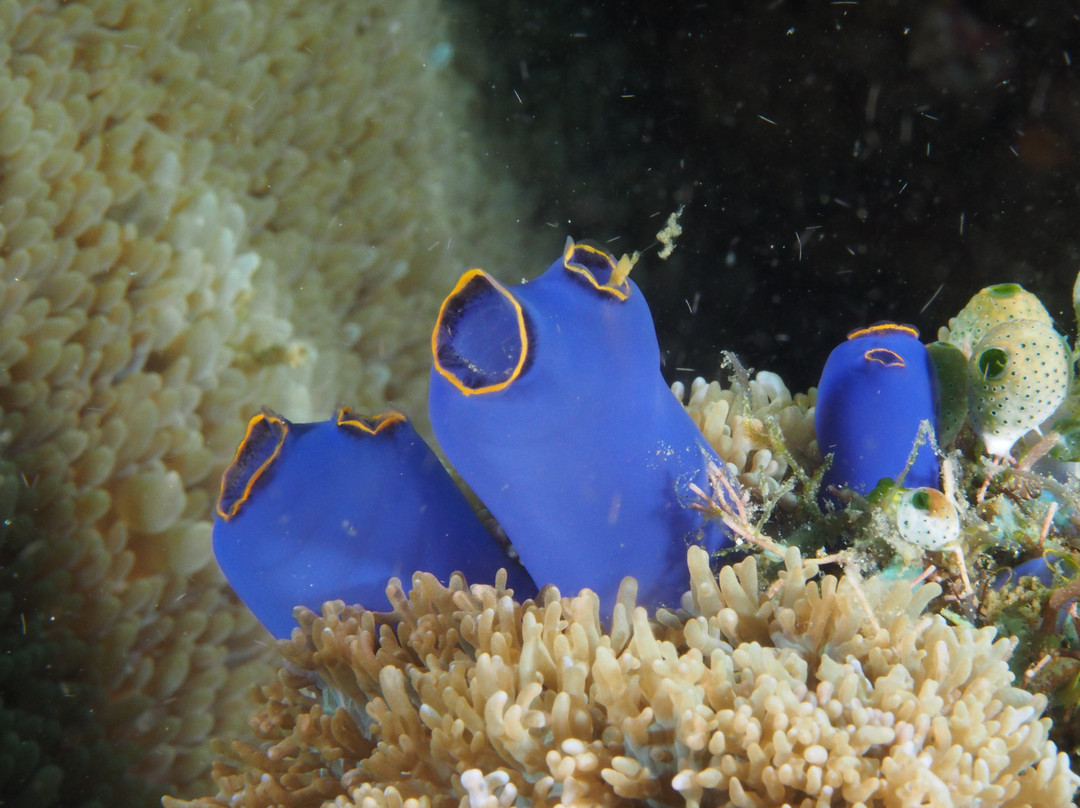 水上冒险乐园礁俱乐部酒店主图