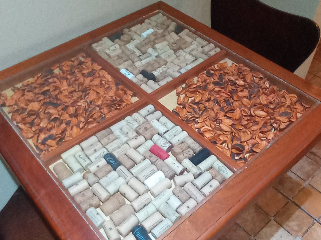 Terravina Hotel del Vino主图