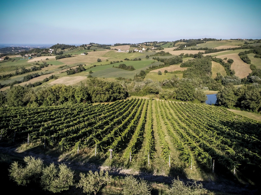 Parma Incoming Travel景点图片
