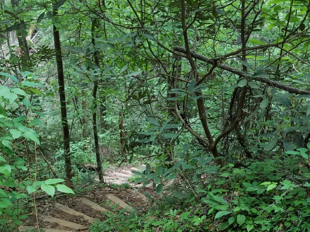 Keowee-Toxaway State Park景点图片