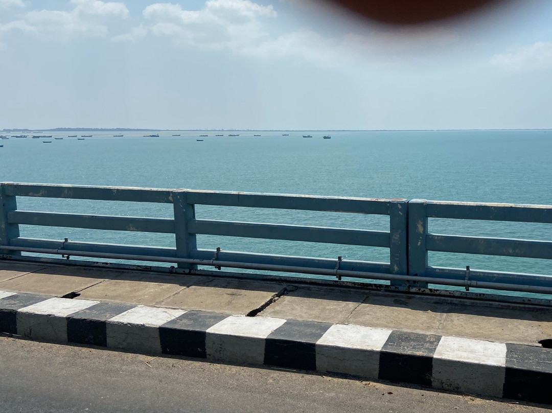 Annai Indira Gandhi Road Bridge景点图片