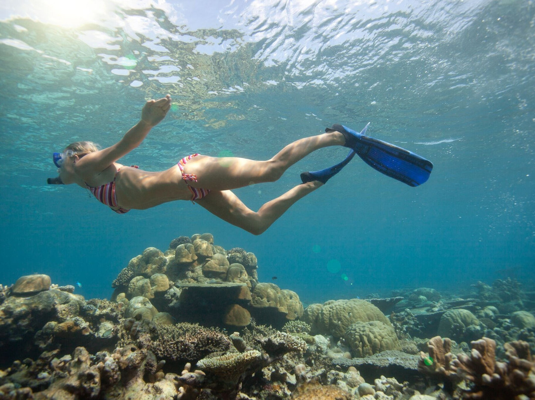 Tourbookings-伊露岛必去景点