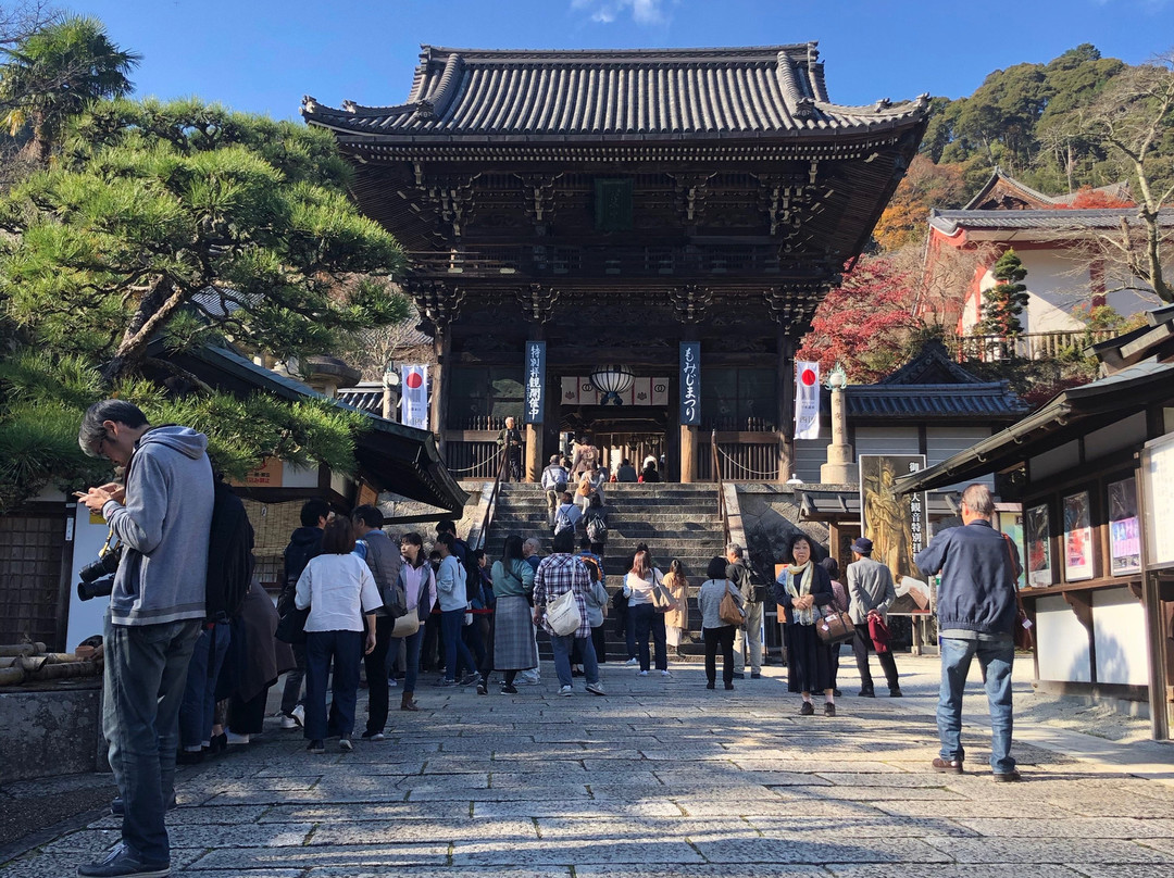 Hasedera Temple景点图片