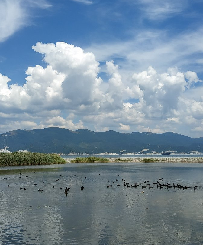 Aleksino Beach景点图片
